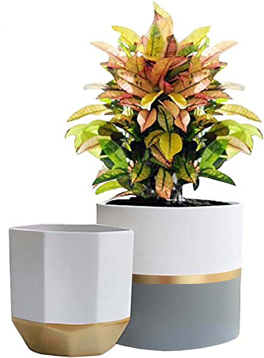 White Ceramic Flower Pot Garden Planters 6.7 Inch Pack 2 Indoor Plant Containers with Gold and Grey Detailing