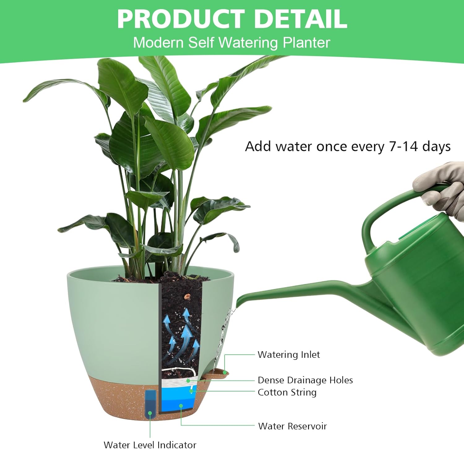 Self Watering Pots with Water Level Indicator