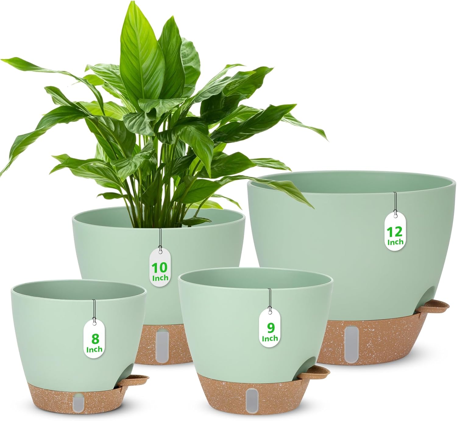 Self Watering Pots with Water Level Indicator