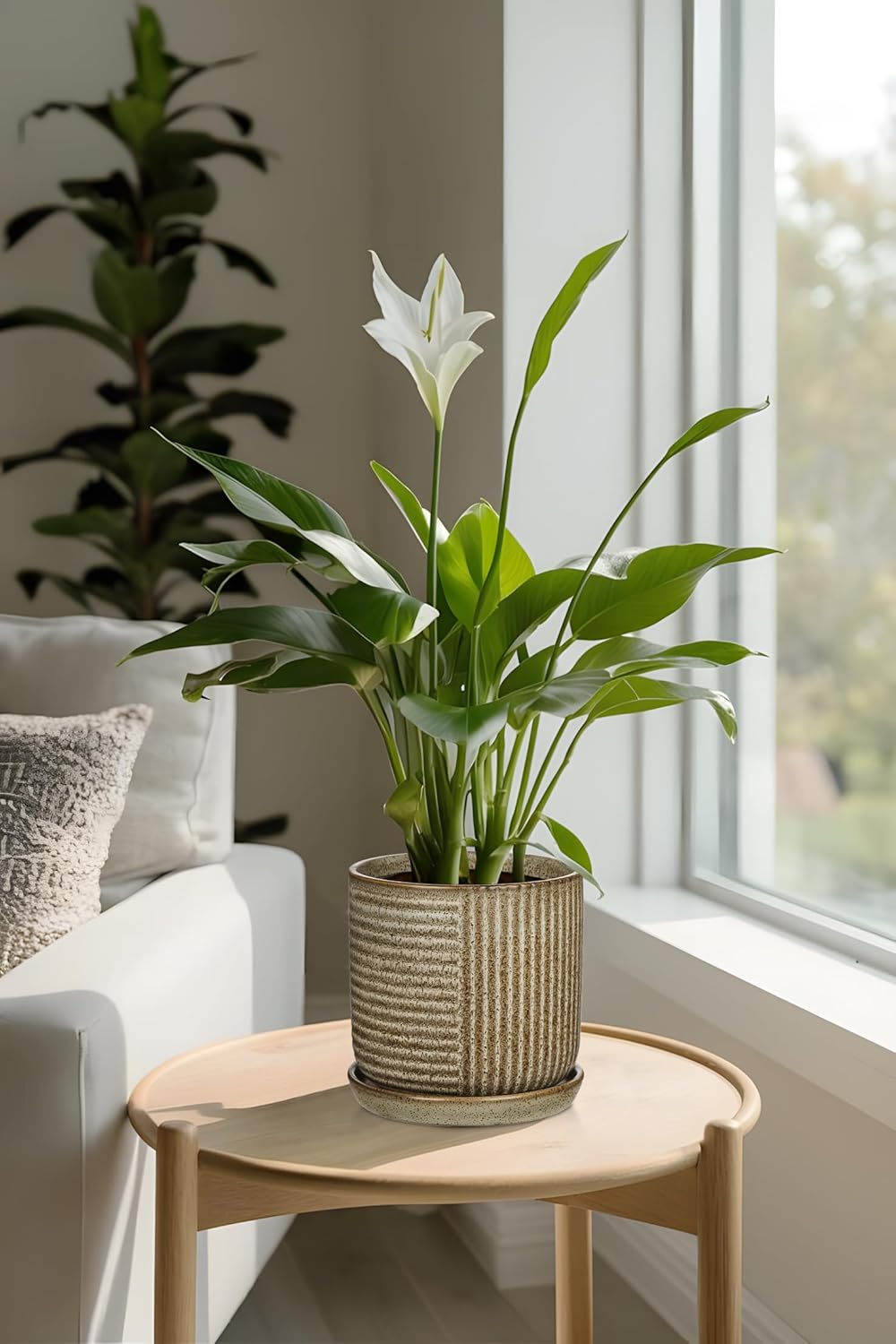 Ceramic Pots for Indoor Plants