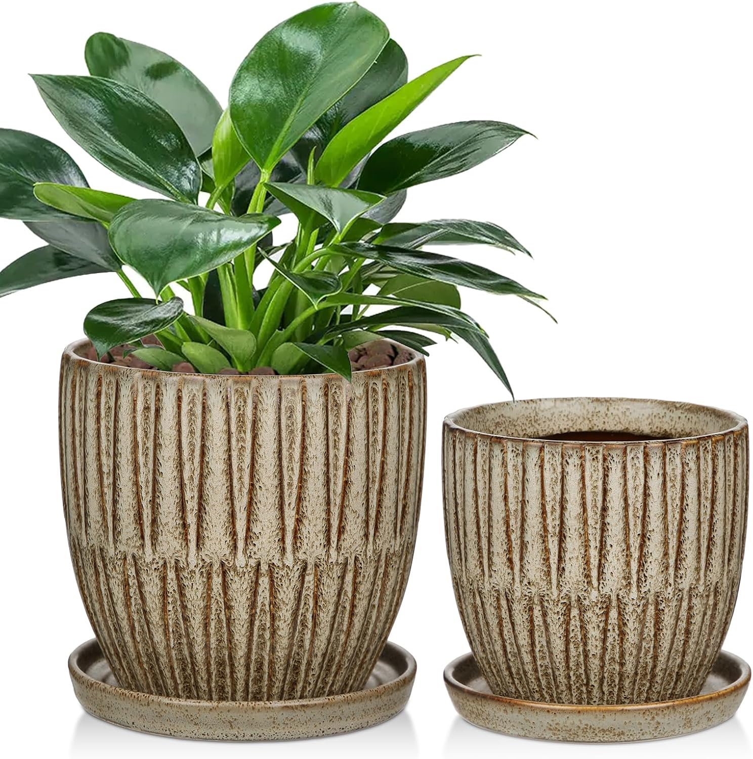Ceramic Pots for Indoor Plants