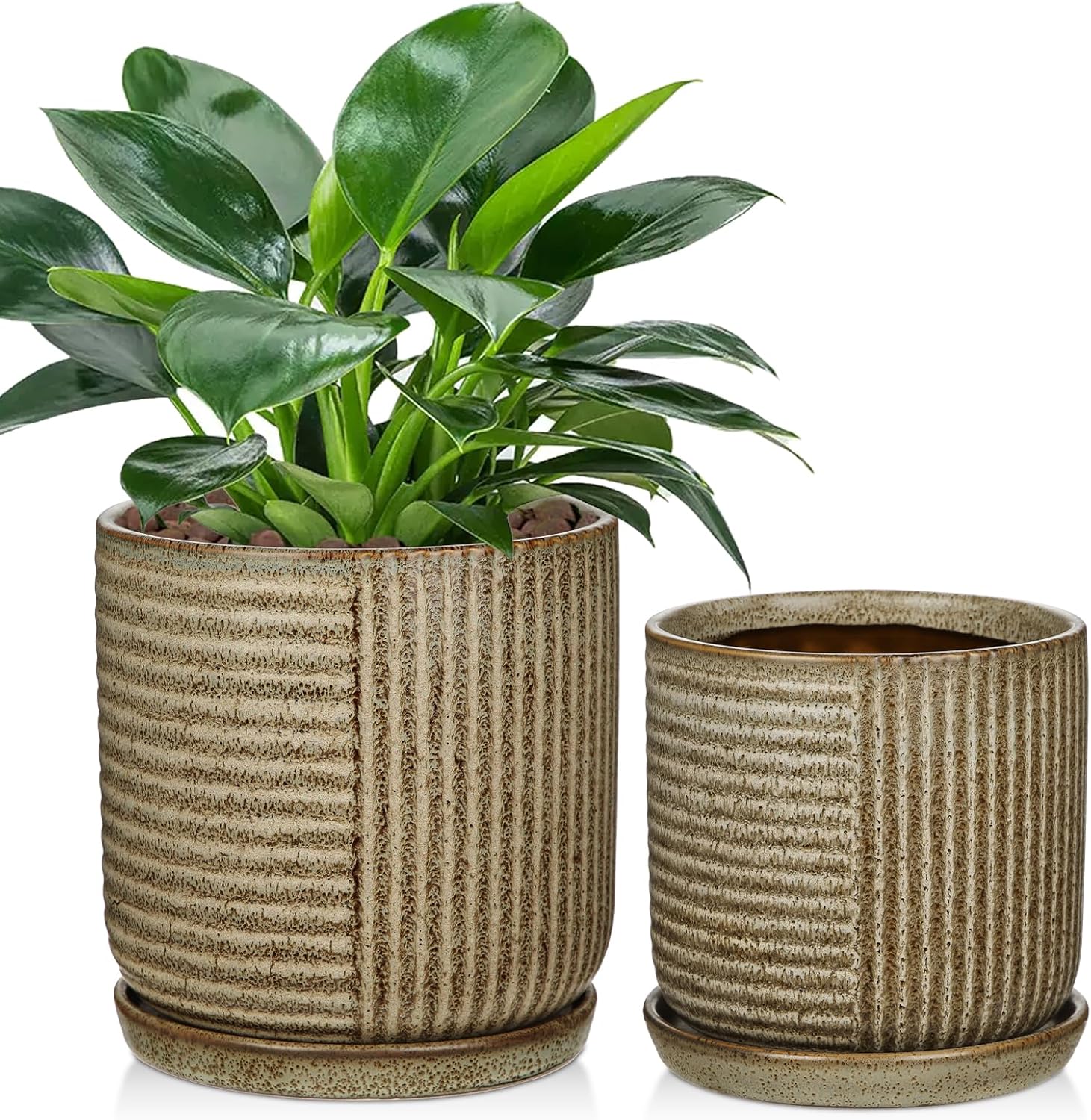 Ceramic Pots for Indoor Plants