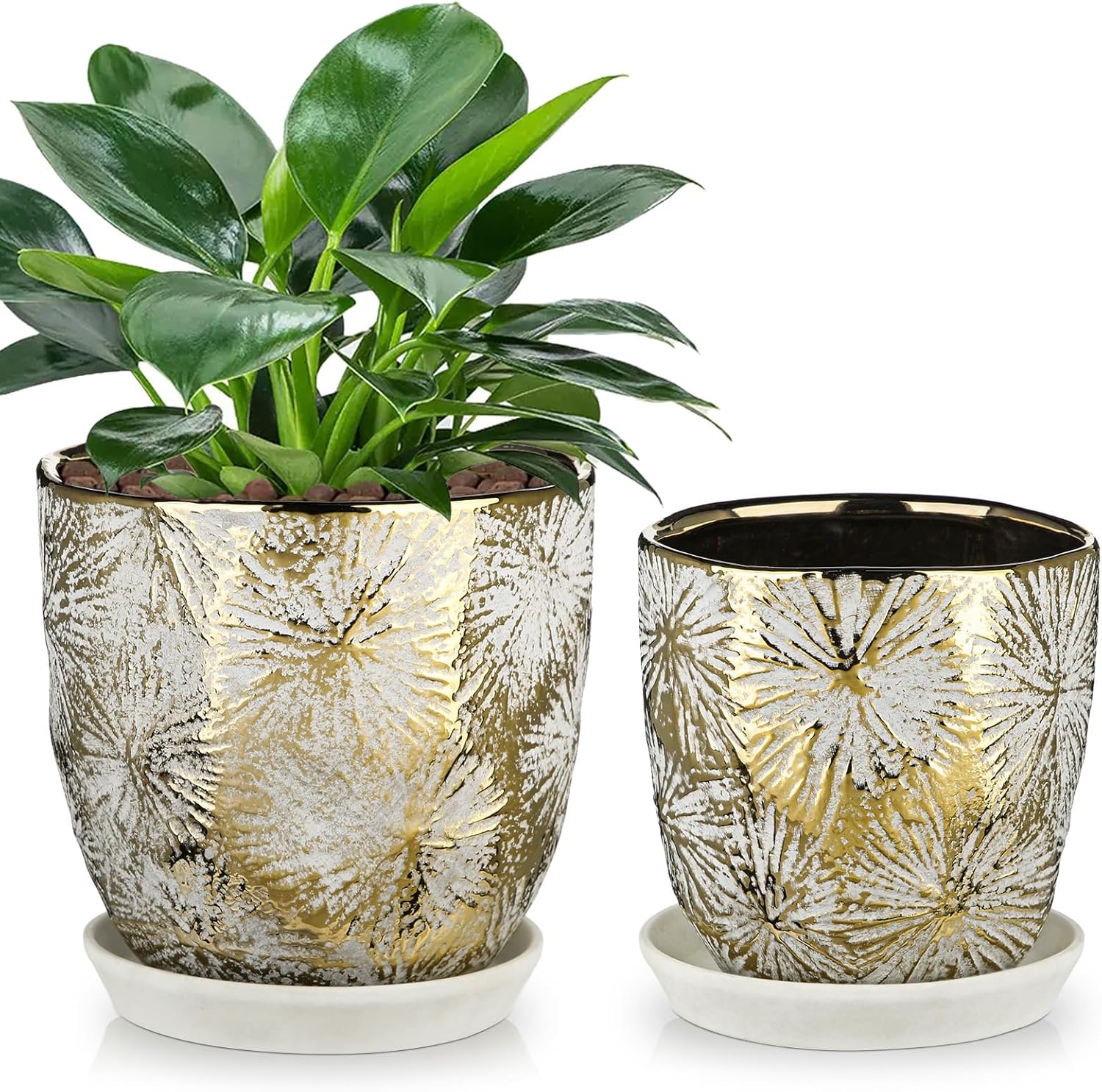 Small Ceramic Pot for Indoor Plants