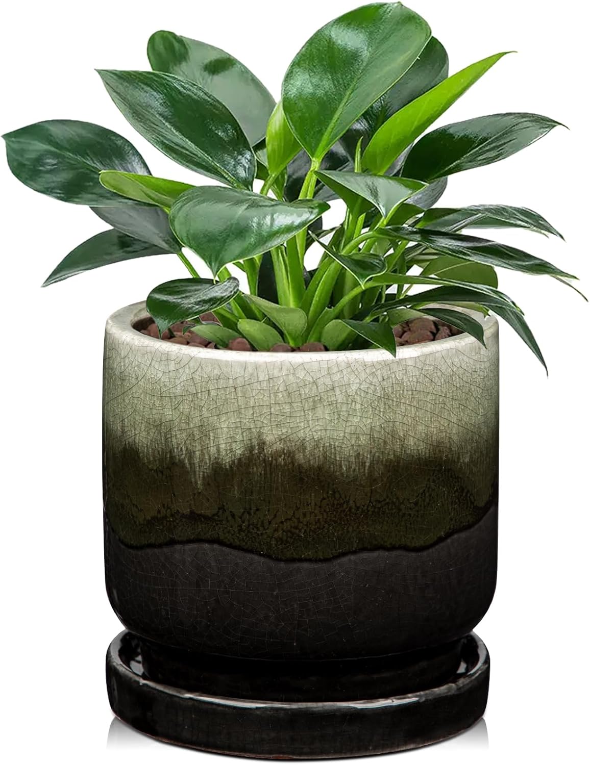 Ceramic Pot for Plants 5.5 inch 