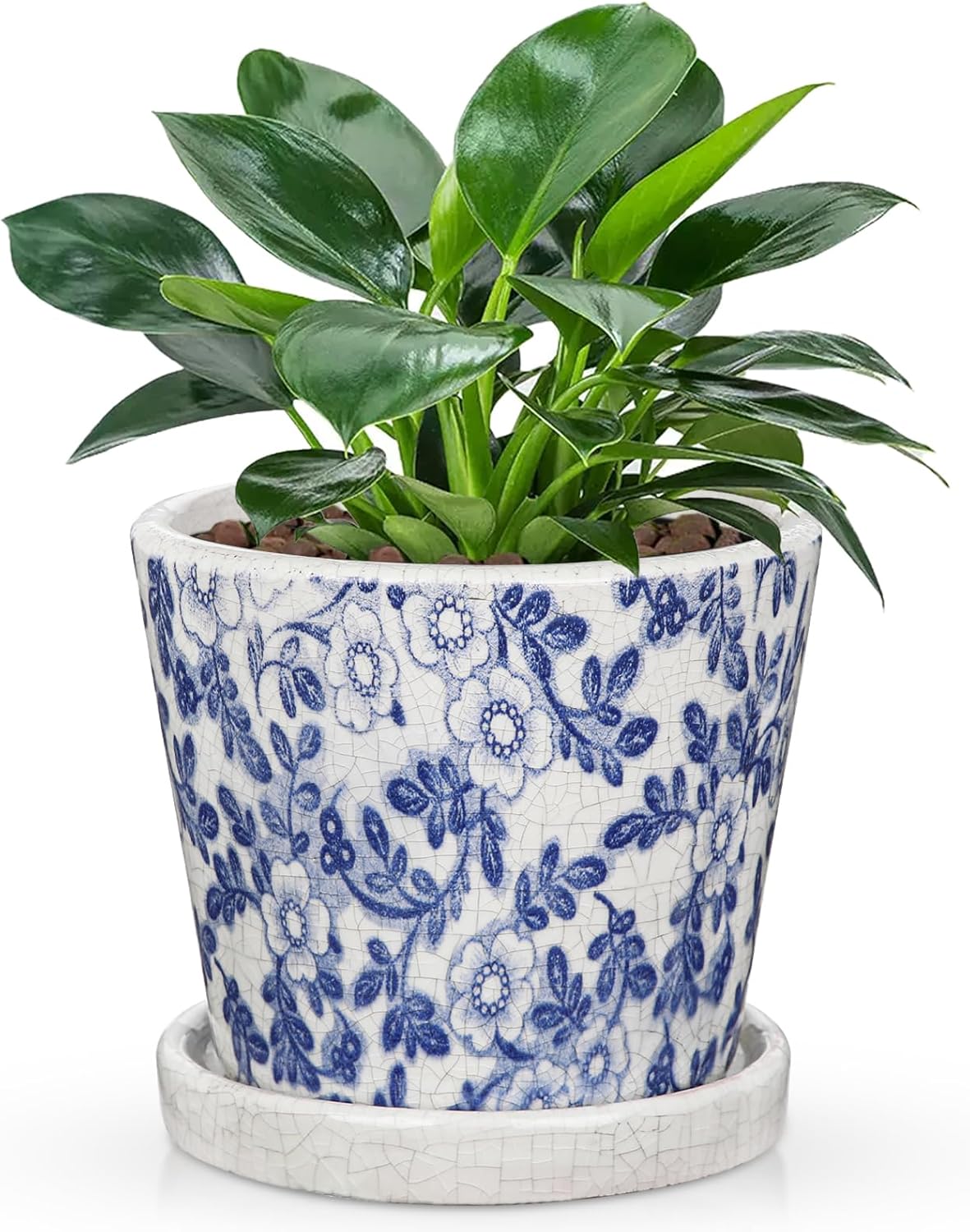 Ceramic Pot for Plants 5.5 inch 