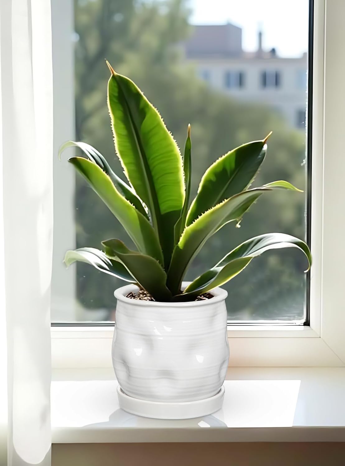 5.7 inch Ceramic Pots for Plants, Plant Pot with Drainage Hole and Saucer White Ceramic Indoor Planter with Tray Decorative Flower Pots for Succulent