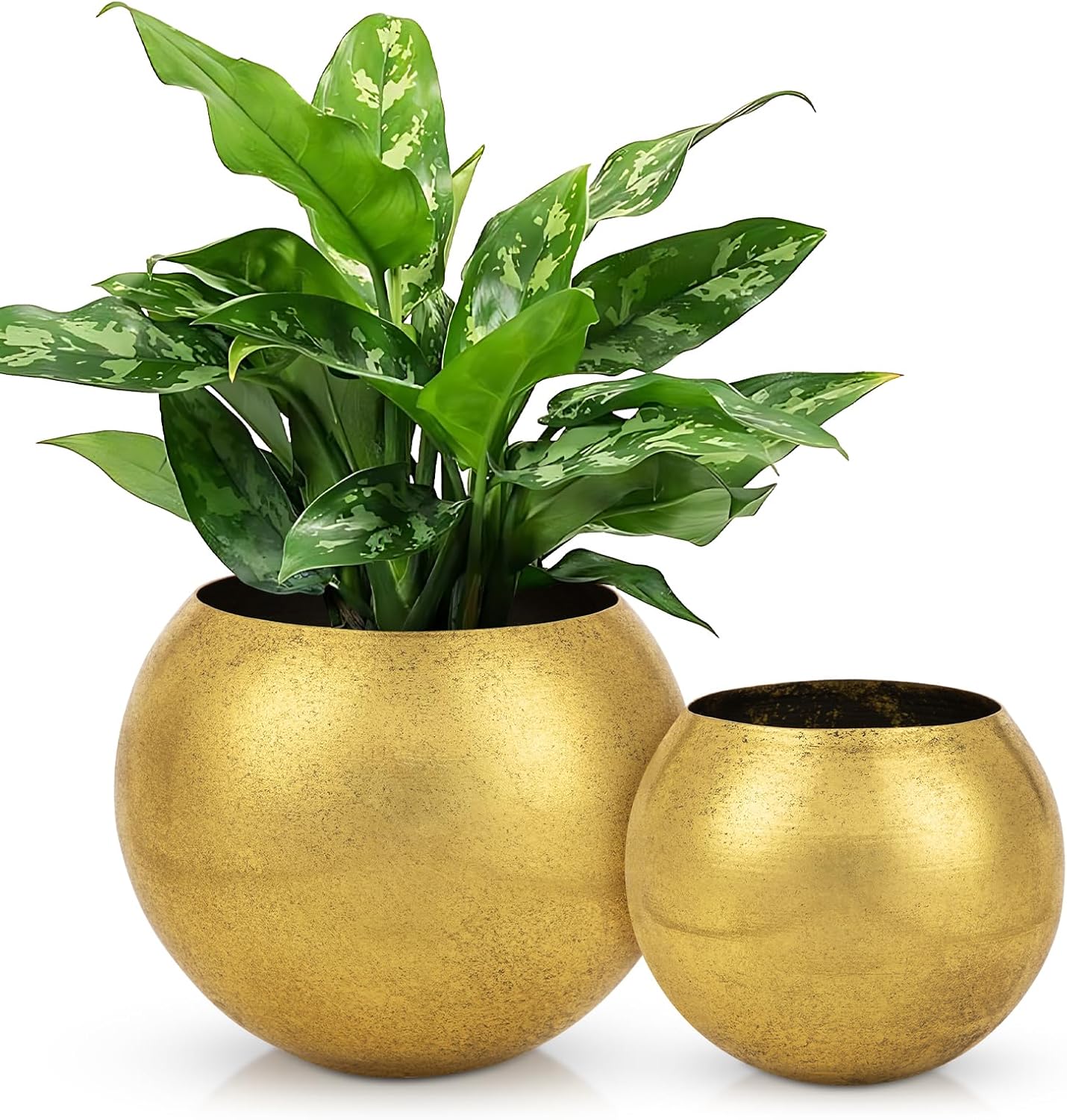 Gold Metal Hanging Planters for Indoor Plants