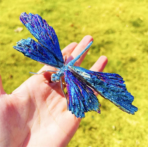 💥AURA TOURMALINE KYANITE DRAGONFLY💥