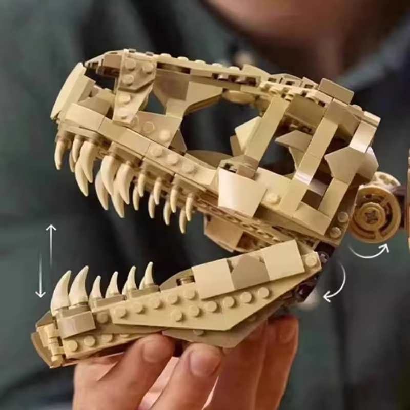 Dinosaur Fossils: Tyrannosaurus rex