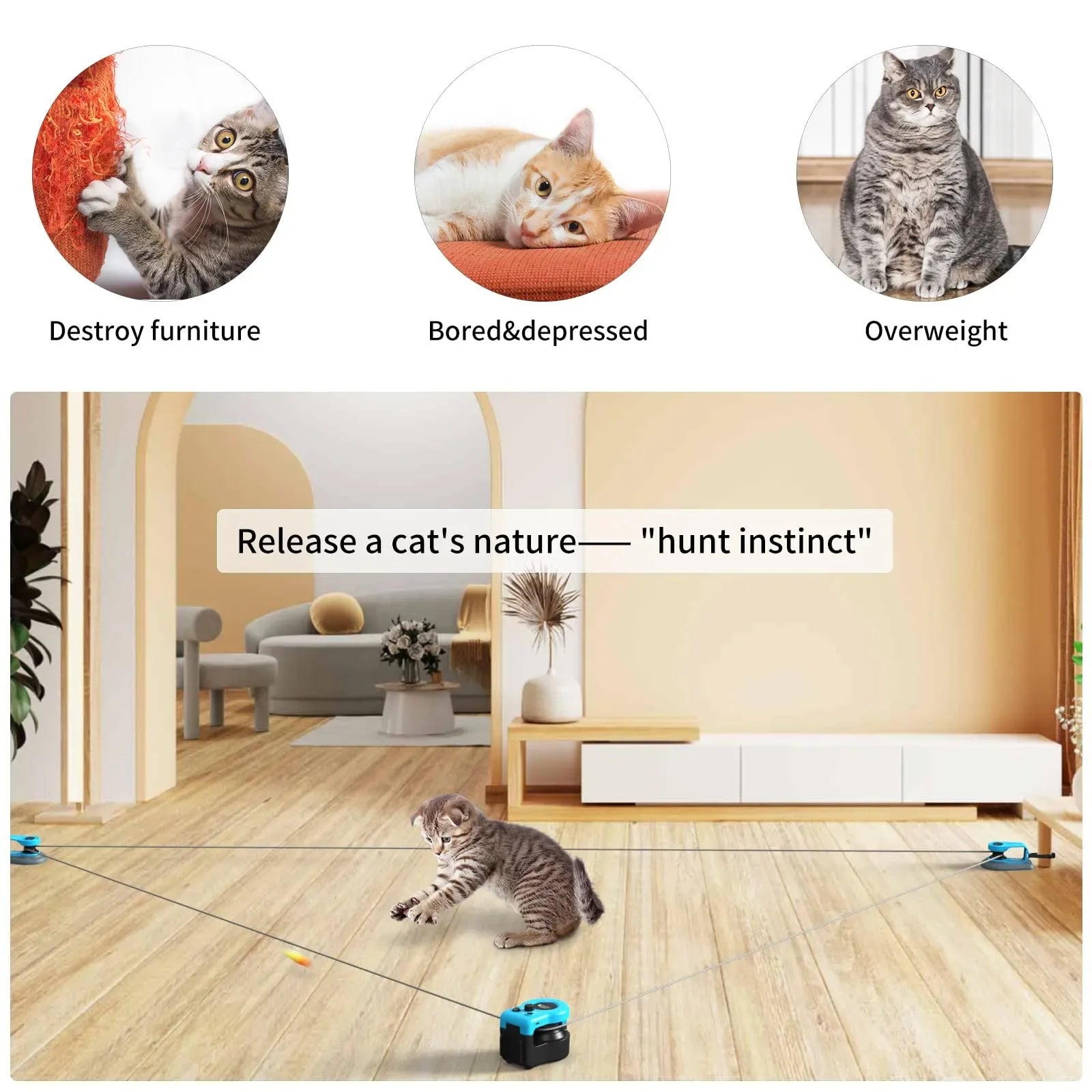 Coocoe Interactive Auto/Manual Cat Treadmill Toy