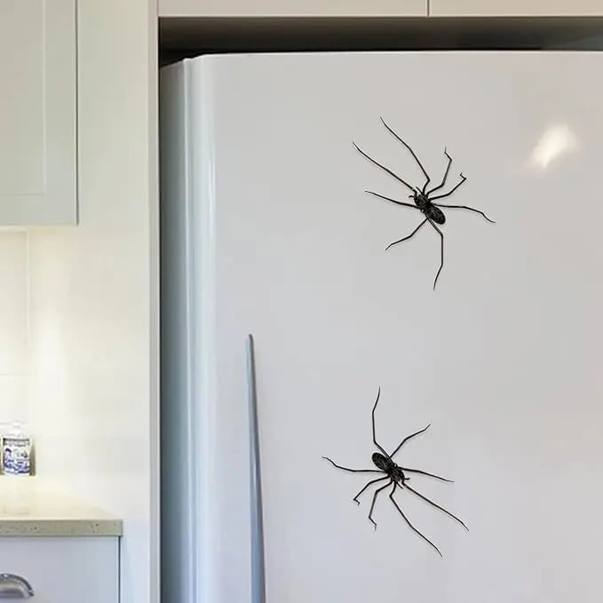 Product Introduction of Spider Fridge Magnet, Realistic Spider Magnets, Lifelike Spider Fridge Magnets, Cute Spiders Designs Decorations, Removeable Indoor Outdoor Magnetic Decals, for Refrigerator, Garage Door, or Car 4