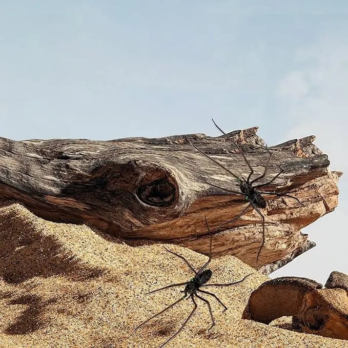 Product Introduction of Spider Fridge Magnet, Realistic Spider Magnets, Lifelike Spider Fridge Magnets, Cute Spiders Designs Decorations, Removeable Indoor Outdoor Magnetic Decals, for Refrigerator, Garage Door, or Car 7