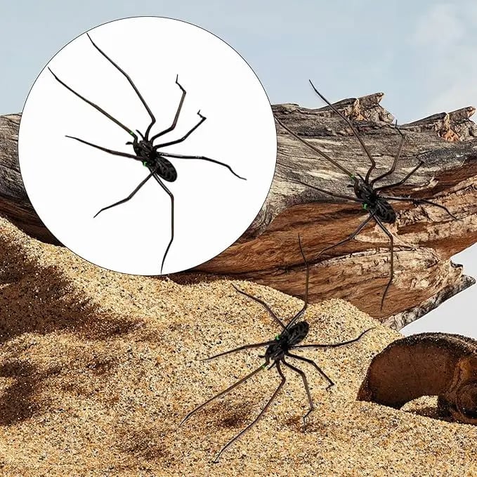 Spider Fridge Magnet, Realistic Spider Magnets, Lifelike Spider Fridge Magnets, Cute Spiders Designs Decorations, Removeable Indoor Outdoor Magnetic Decals, for Refrigerator, Garage Door, or Car 3