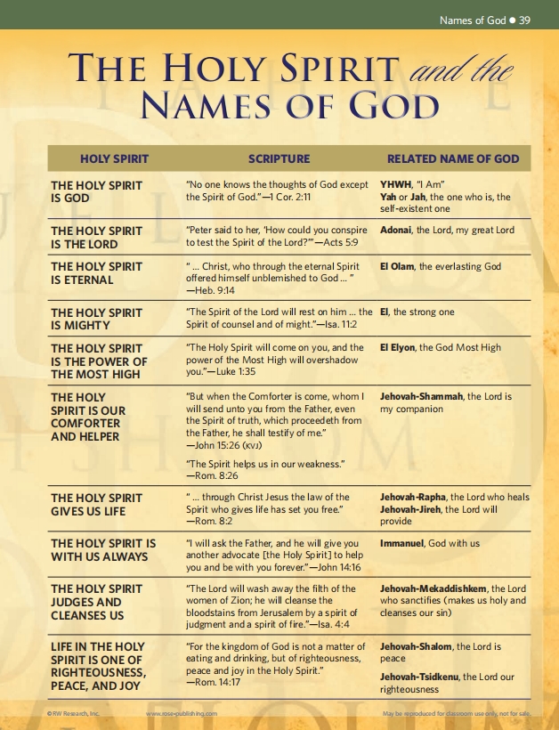 🔥Last Day70% off🔥10th Anniversary Edition Bible Charts, Maps and Time Lines（Spiral-bound hardcover）