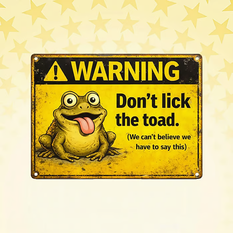 Funny Metal Tin Sign Decoration