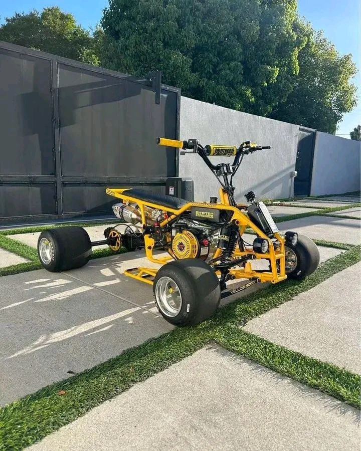 Yellow Max Racing Gokart