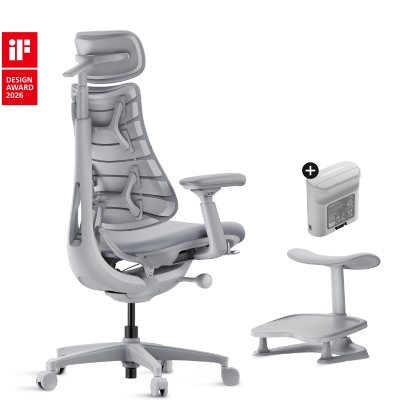 Dynamic Ergonomic Chair