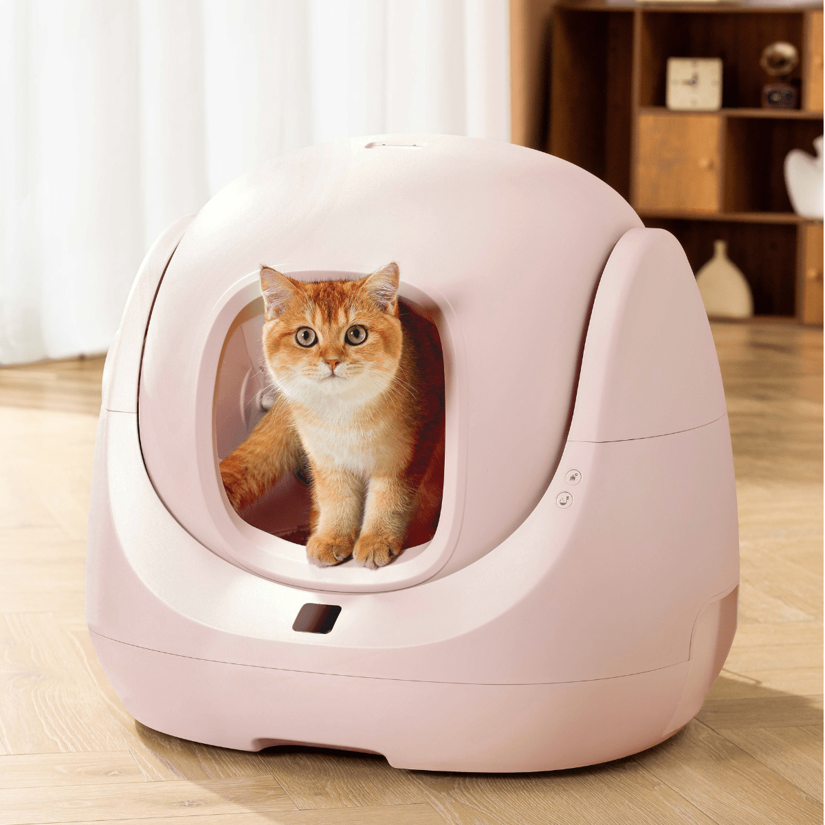 CATLINK Baymax Sakura – Self-Cleaning Litter Box