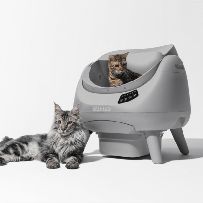 CATLINK Open-X Lite Open Top Self-cleaning Litter Box