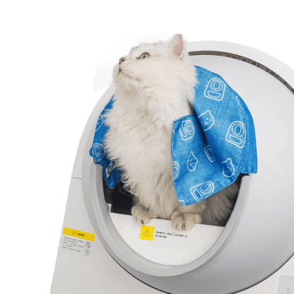 Catlink Young Self-Cleaning Litter Box