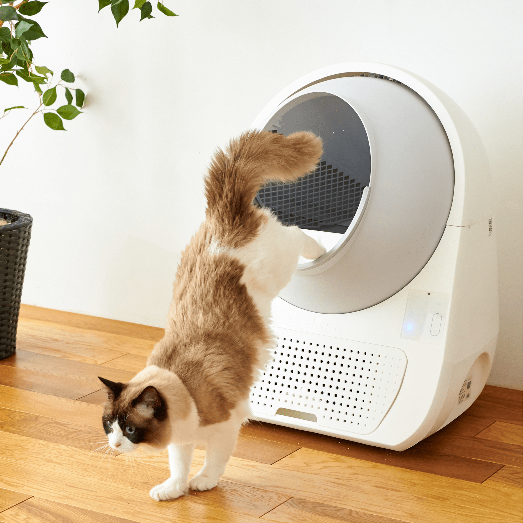 Catlink Pro-X Luxury Self-Cleaning Litter Box