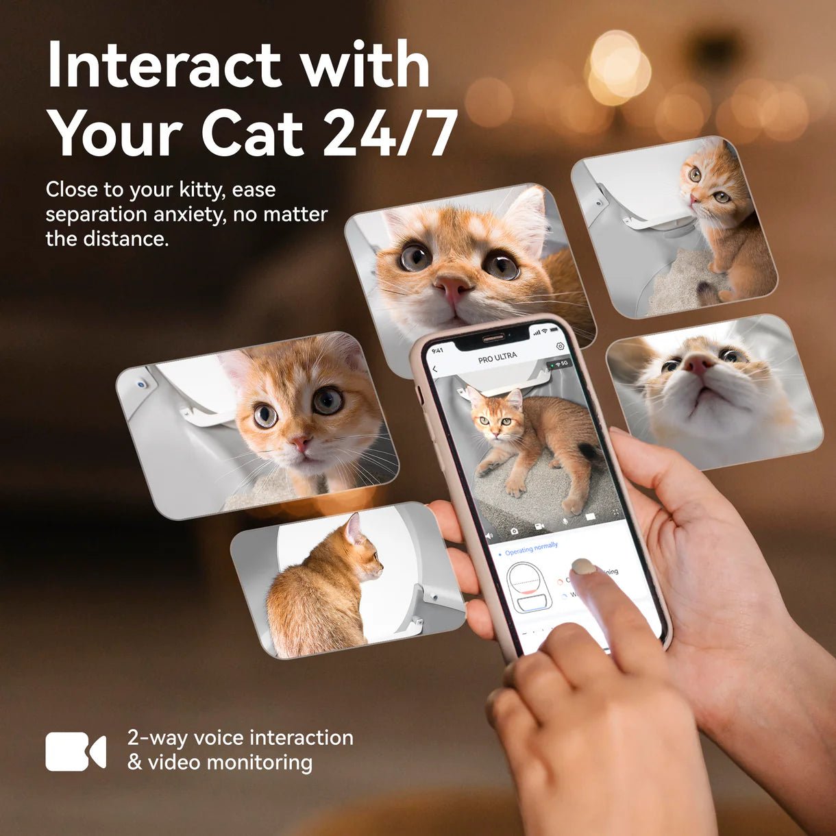 Catlink Pro-X Ultra Self-Cleaning Litter Box