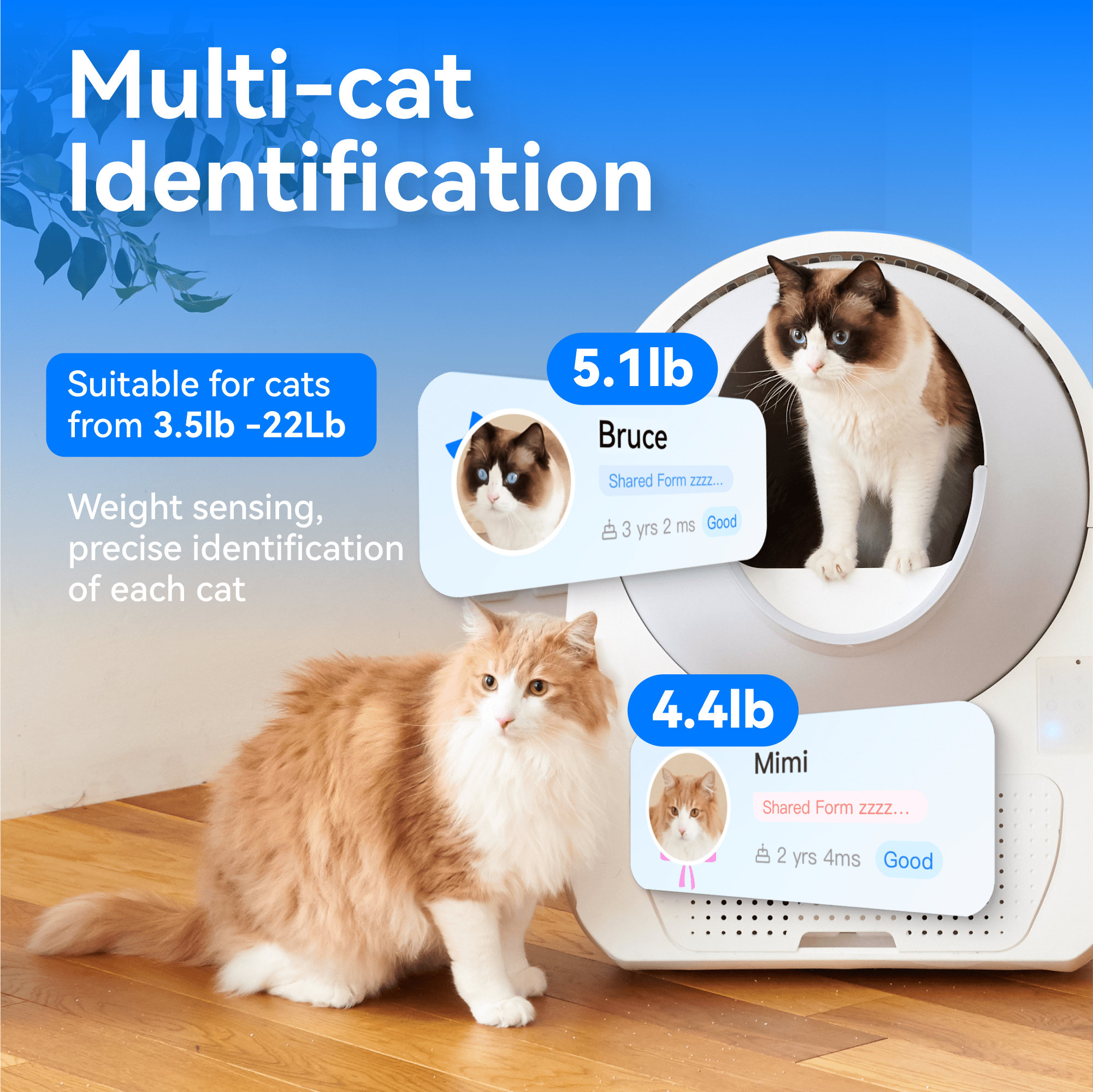 Catlink Pro-X Ultra Self-Cleaning Litter Box