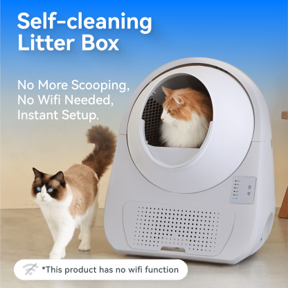 Catlink Young Self-Cleaning Litter Box