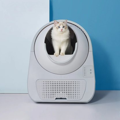 Catlink Young Self-Cleaning Litter Box