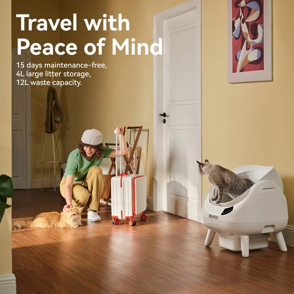 CATLINK Open-X Open Top Self-cleaning Litter Box