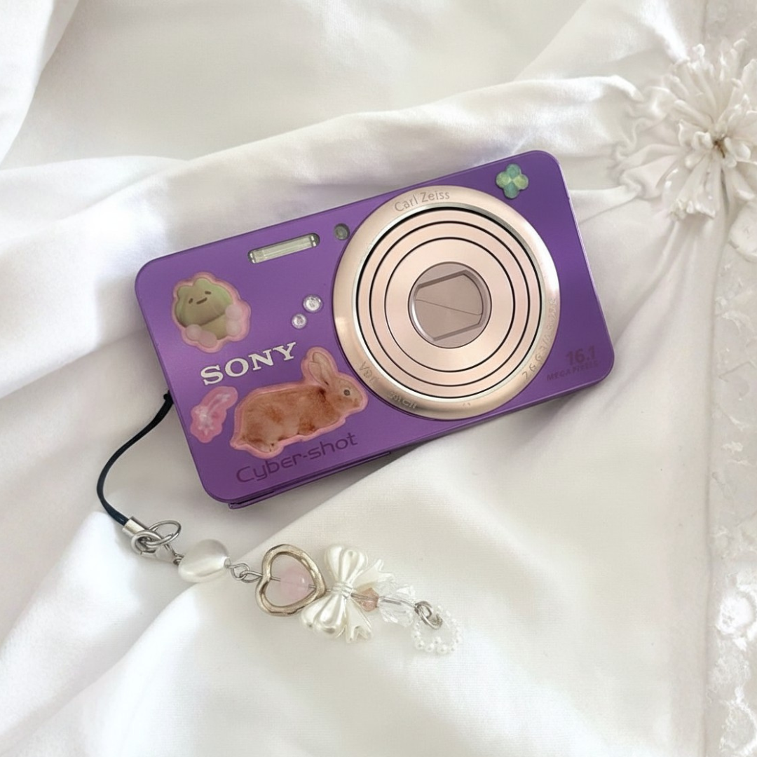 Vintage Sony Cyber-shot DSC-W570