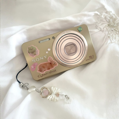 Vintage Sony Cyber-shot DSC-W570