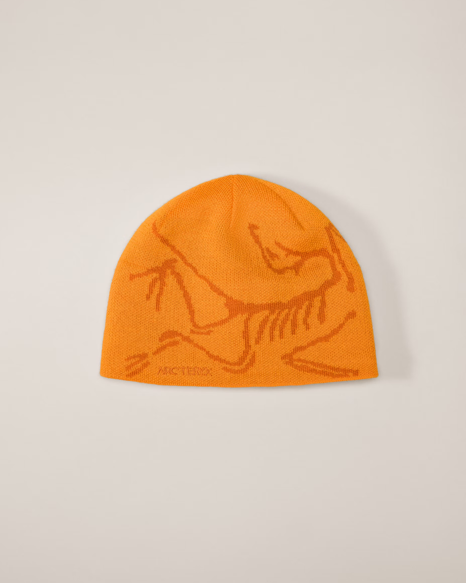 Arc Crest Beanie
