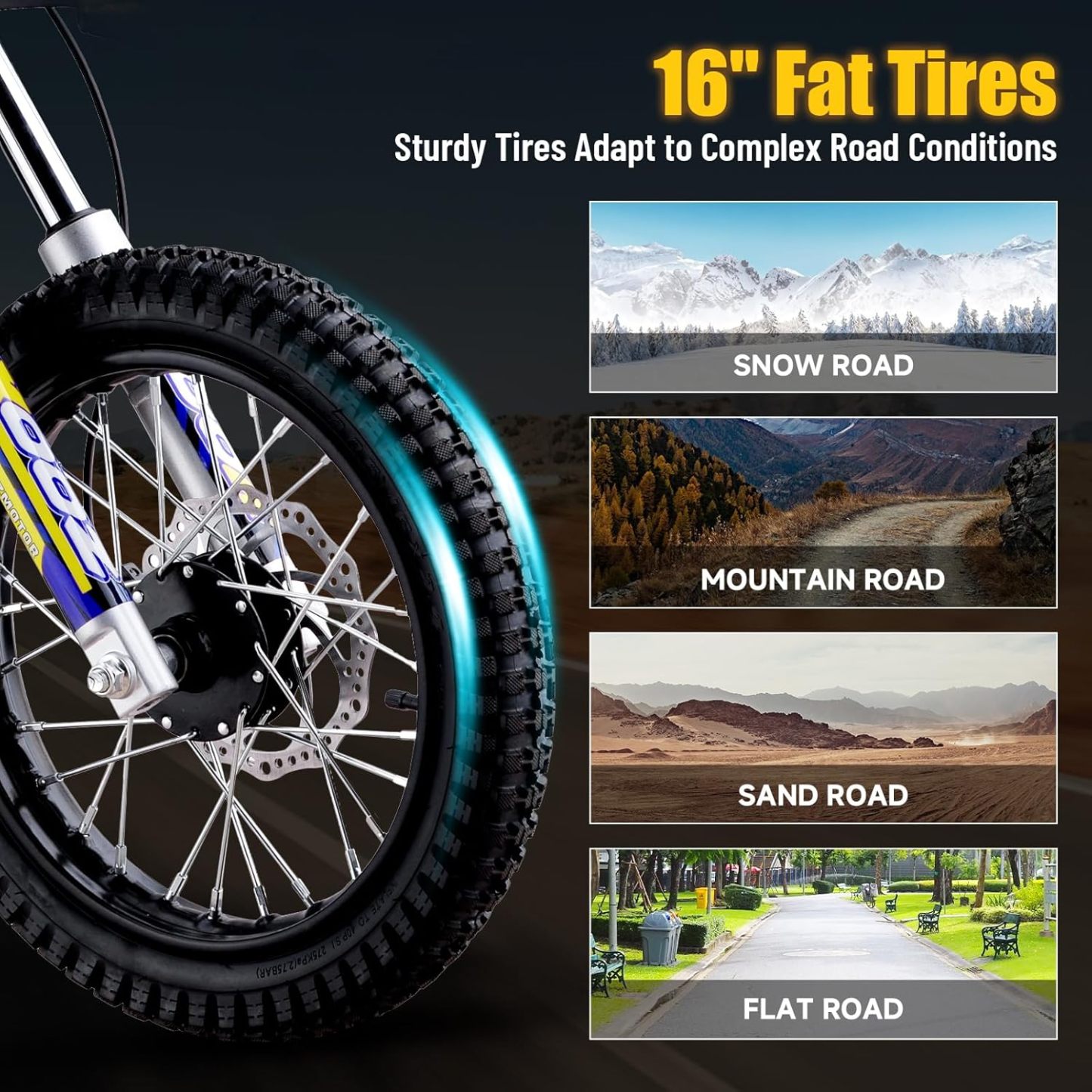 36V 1000W Electric Dirt Bike for Kids(HP112E PRO)