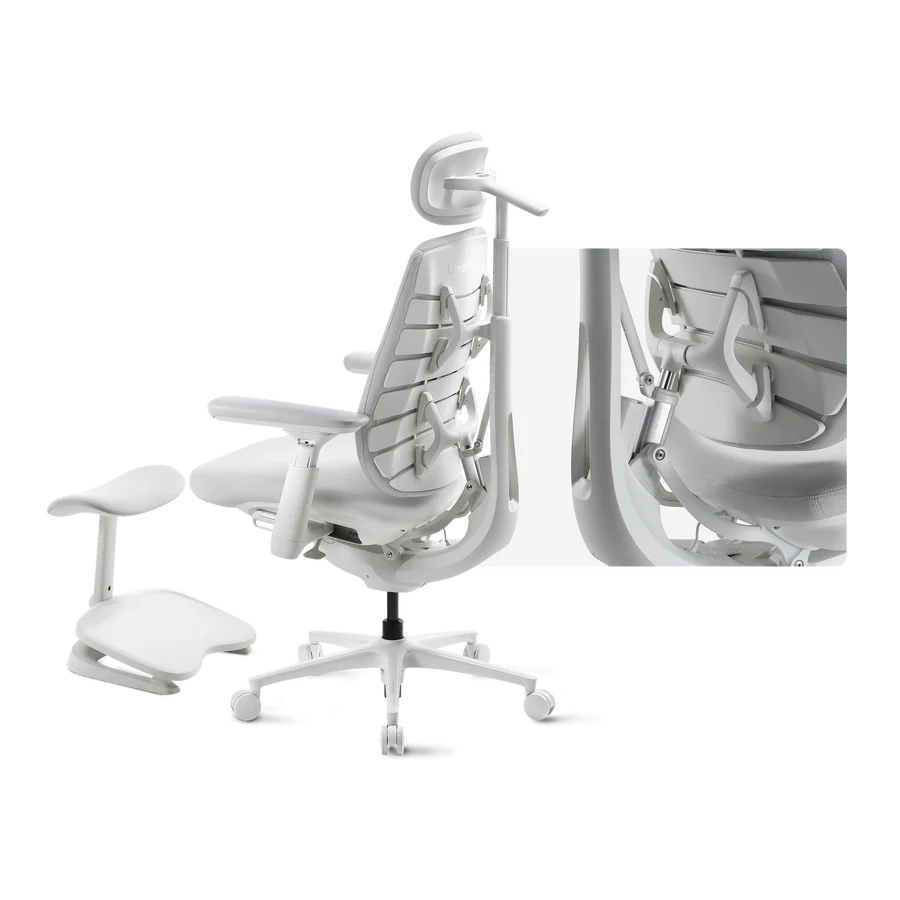 LiberNovo Maxis Electric + Footrest