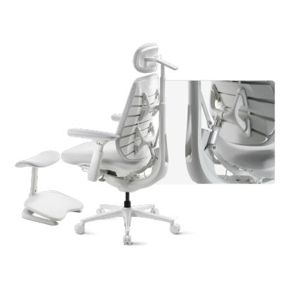 LiberNovo Maxis Electric + Footrest