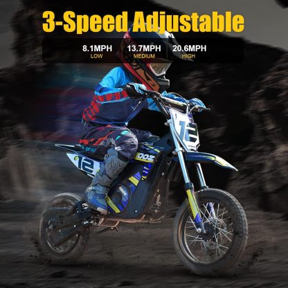 36V 1000W Electric Dirt Bike for Kids(HP112E PRO)