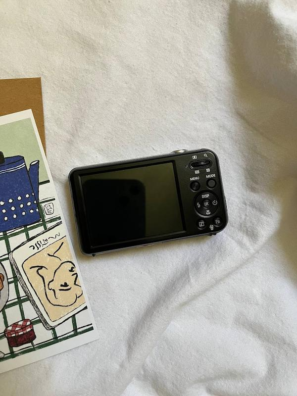 Samsung PL100
