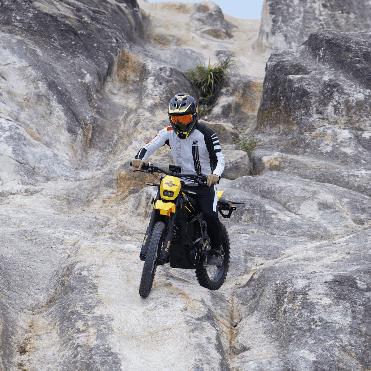 Freego Nova 5 / Nova 5 Pro Mid-Drive Off-Road Electric Dirt Bike