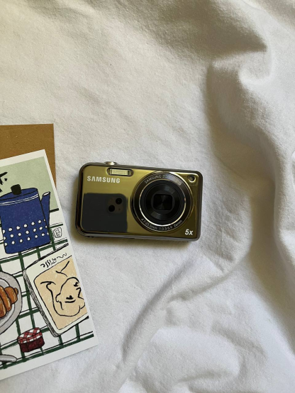 Samsung PL100