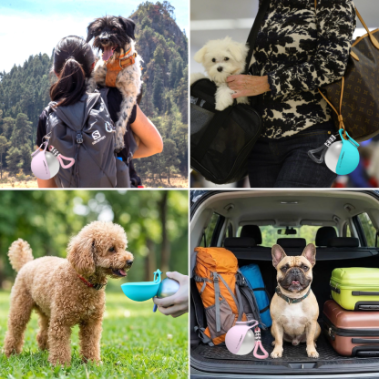 Dog Water Bottle with Bowl