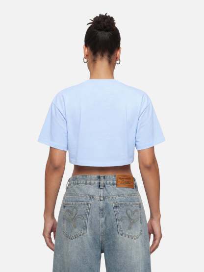 Aelfric Eden Cropped Plane Orange Graphic Tee-Limited Sale
