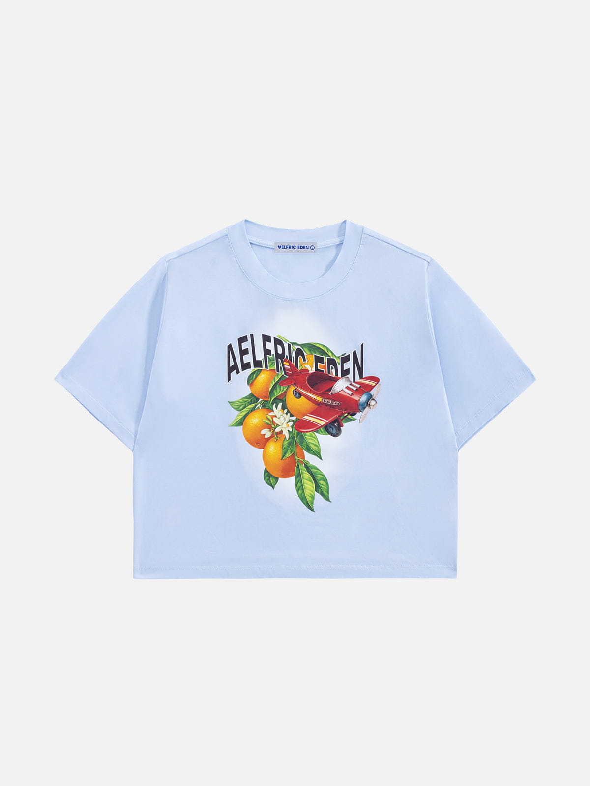 Aelfric Eden Cropped Plane Orange Graphic Tee-Limited Sale