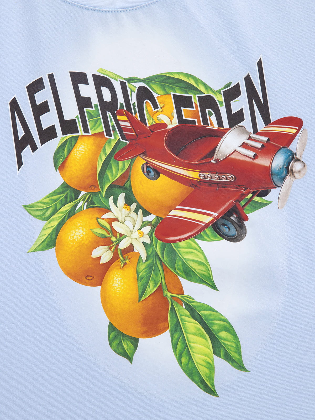 Aelfric Eden Cropped Plane Orange Graphic Tee-Limited Sale