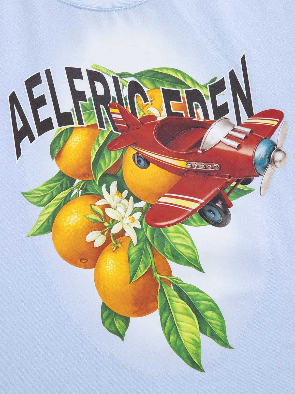 Aelfric Eden Cropped Plane Orange Graphic Tee-Limited Sale
