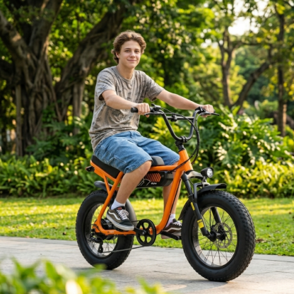 Lumen V101 Ebike