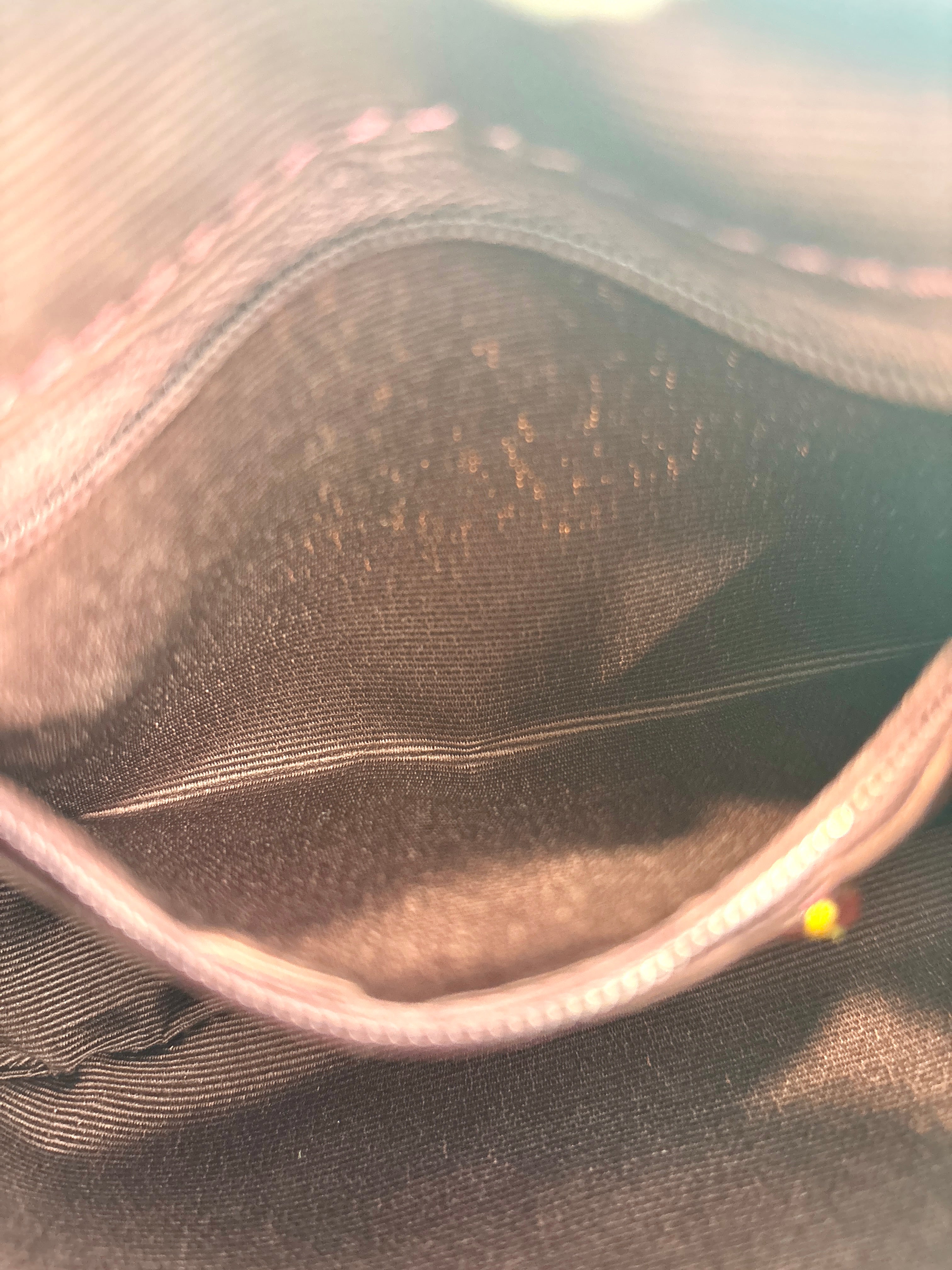 Pink Carmen Mini Crossbody Bag In Signature Canvas