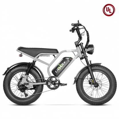 Likebike U12 Off-Road Ebike，2000W Fat Tire, UL 2849