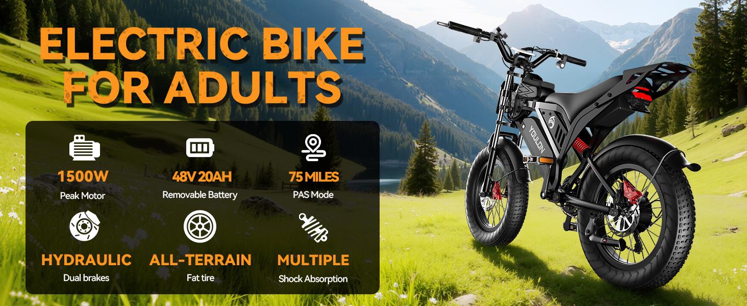 YOULON Electric Bike for Adults 1500W Peak 20" Fat Tire All-Terrain E-Bike 30 MPH Electric Dirt Bike for Road Sand Mountain Snow - 48V 20 AH Battery Powered Electric Motorcycle, Full Suspension E Bike summerwins