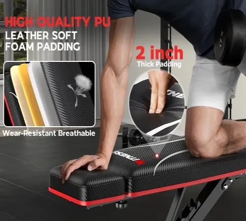 Banco de pesas plegable, capacidad de carga de 880 lb (los discos de peso no están incluidos). Banco de entrenamiento para press de banca en gimnasio en casa; equipo de ejercicio con posiciones de inclinación, declinación y abdominales, que incluye extens